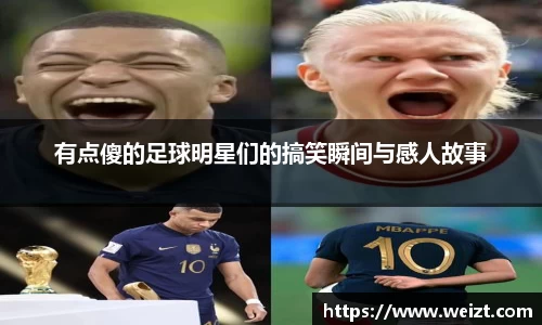 bsport官网入口